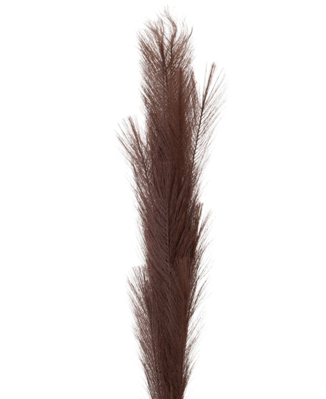 Featherflair Faux Pampas Grass Pack Of 2