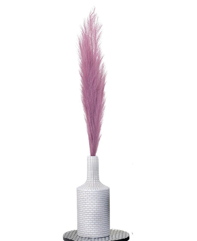 Featherflair Faux Pampas Grass Pack Of 2