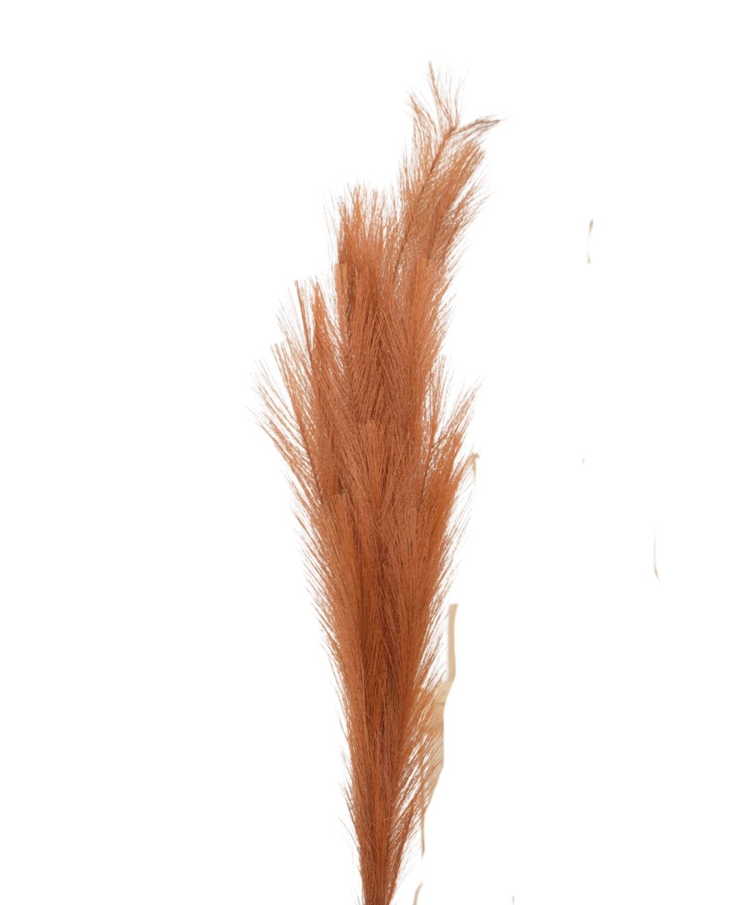 Featherflair Faux Pampas Grass Pack Of 2