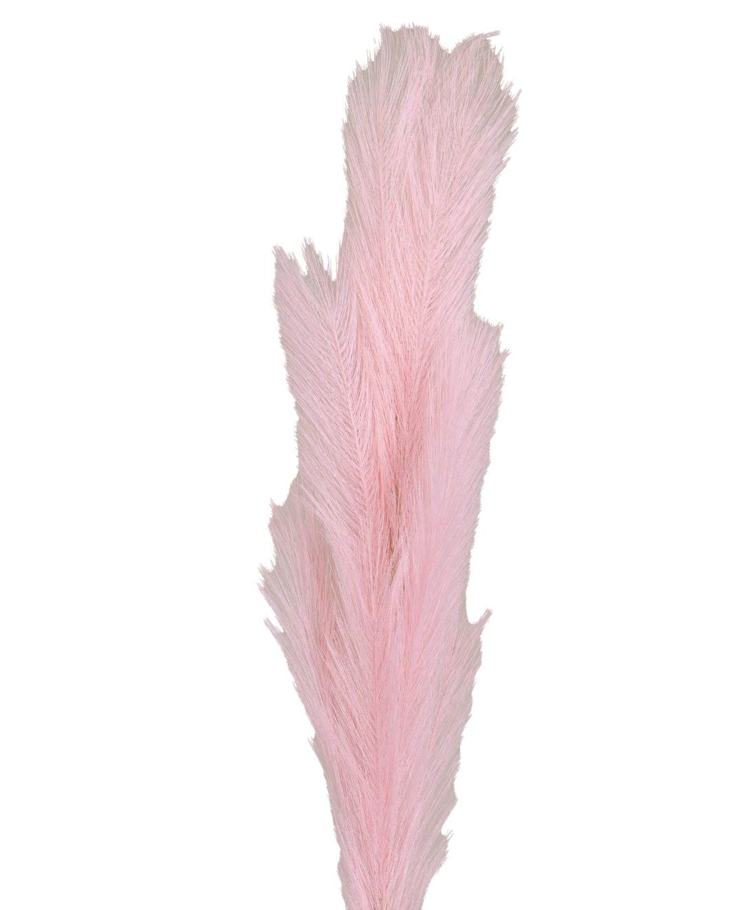 Featherflair Faux Pampas Grass Pack Of 2