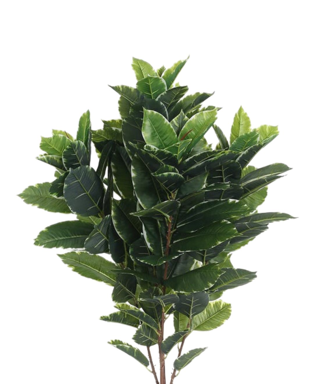 Pollination Tropical Artificial Green Plant With Medium Leaves Without Pot (Petite)