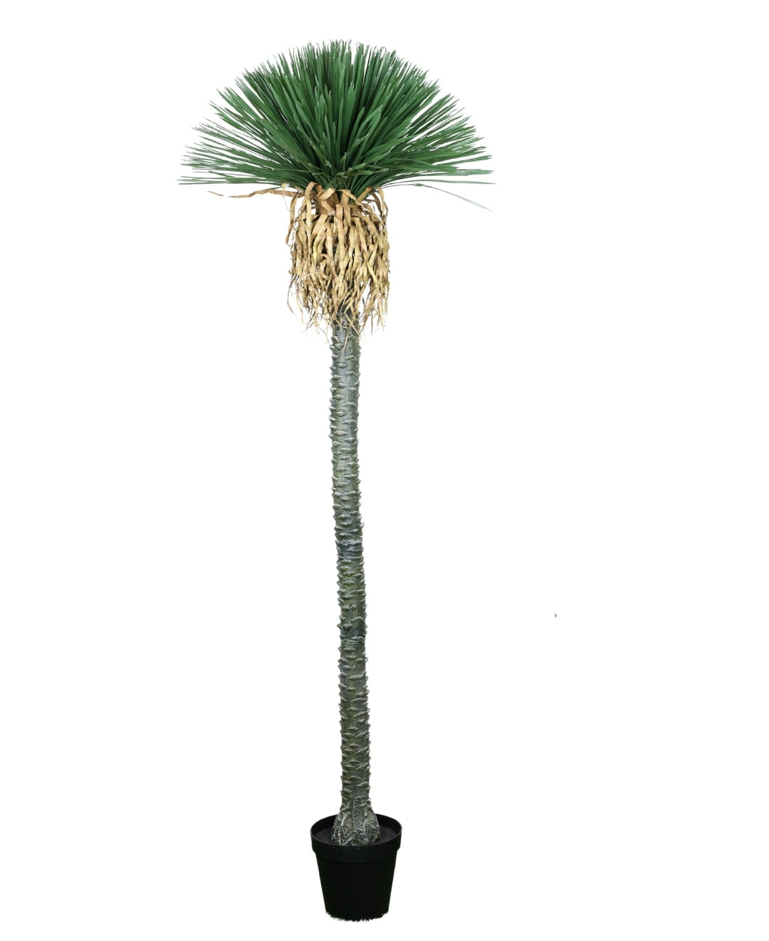 Artificial Ponytail Palm With Hanging Spanish Moss (Grande)