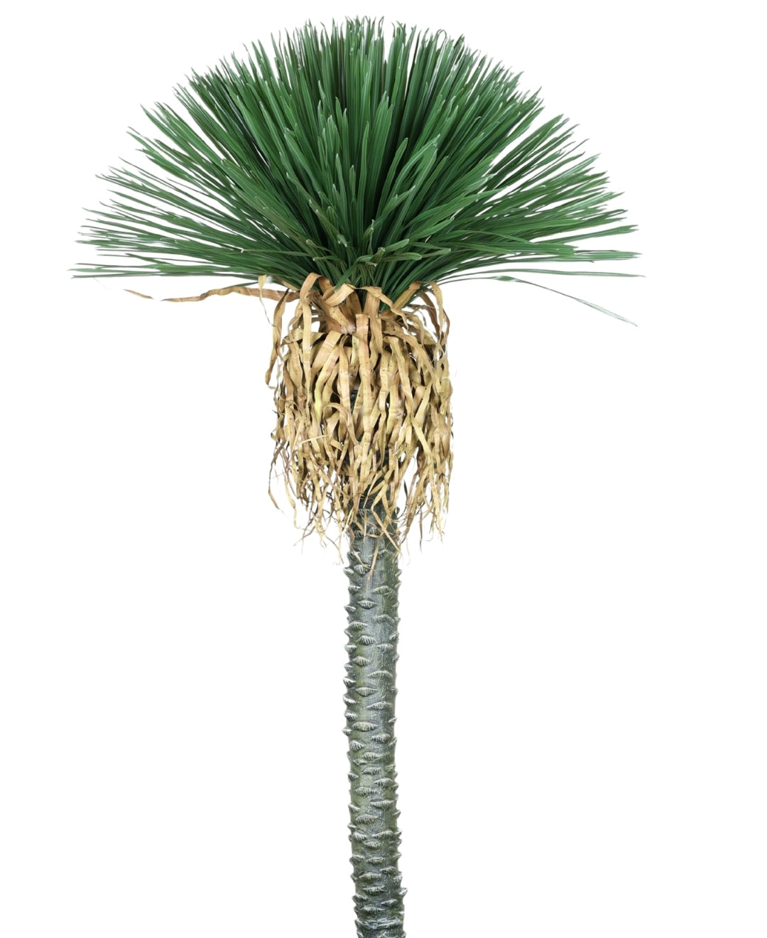 Artificial Ponytail Palm With Hanging Spanish Moss (Grande)