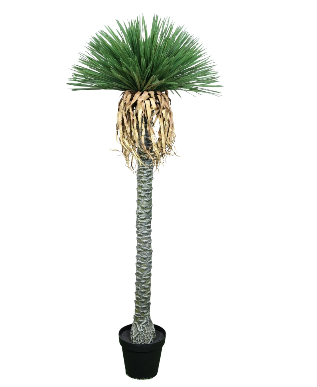 Artificial Desert Whisper Palm Hanging Spanish Moss With Pot (Tall)