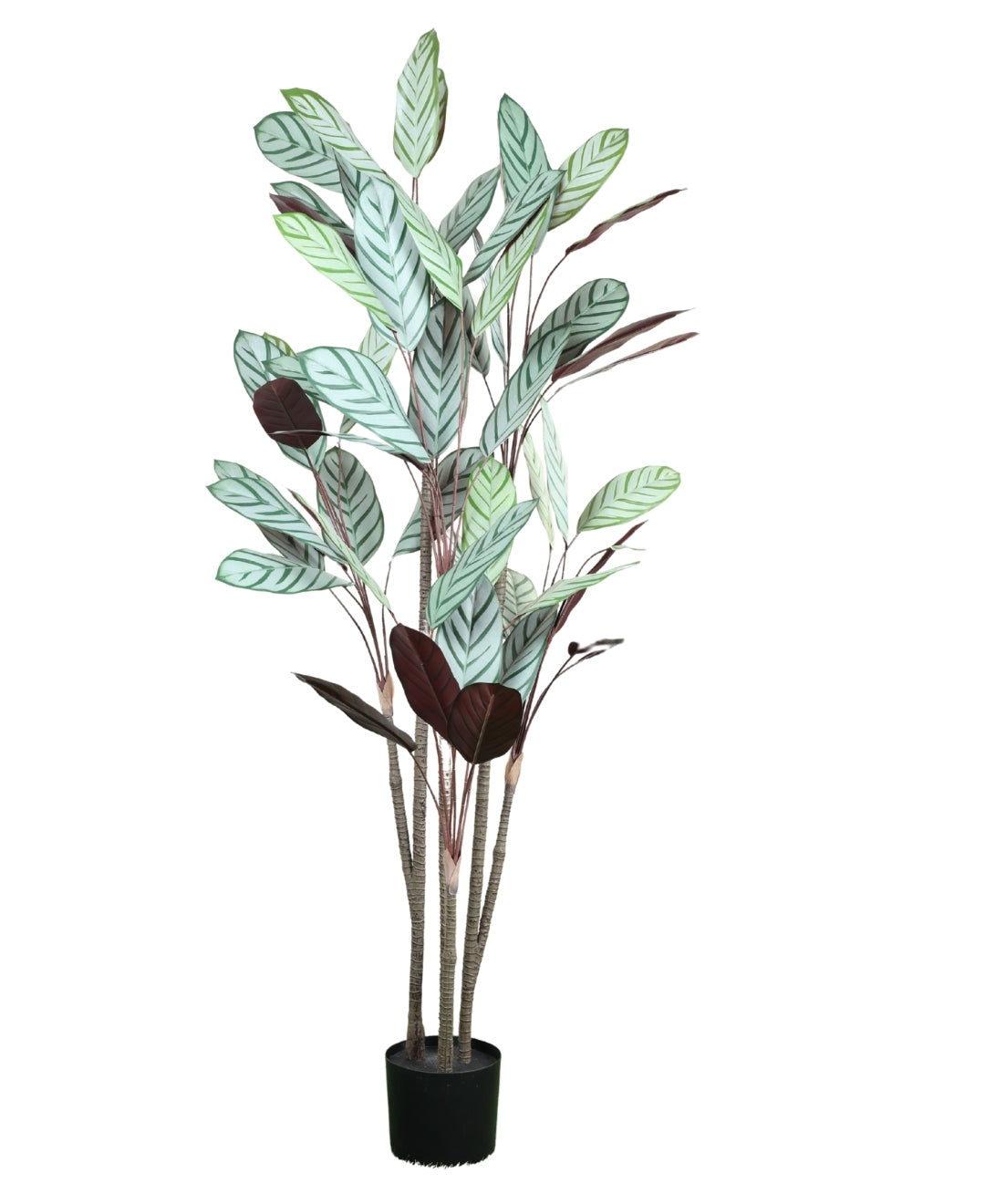 Tall Artificial Calathea Plant With Pot