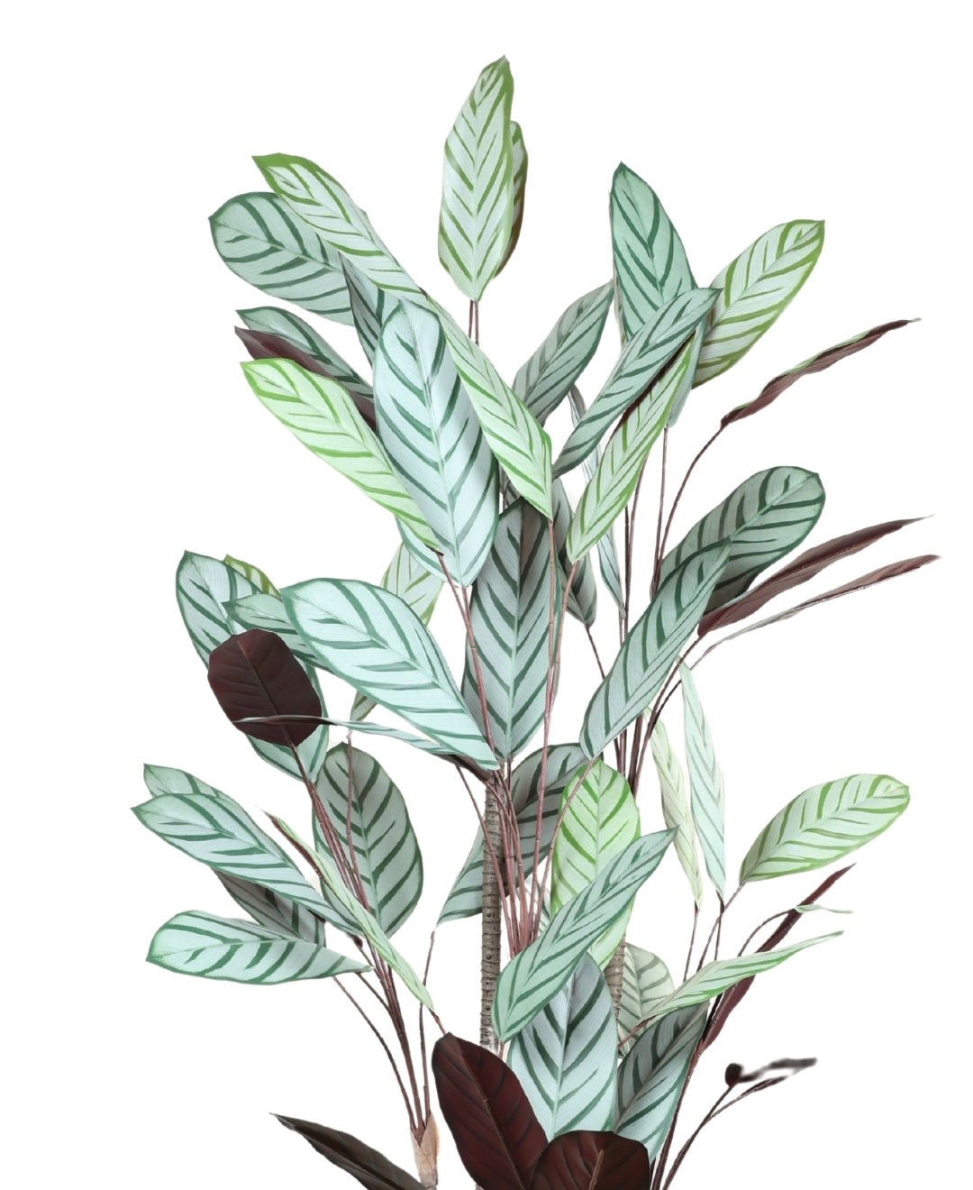 Tall Artificial Calathea Plant With Pot