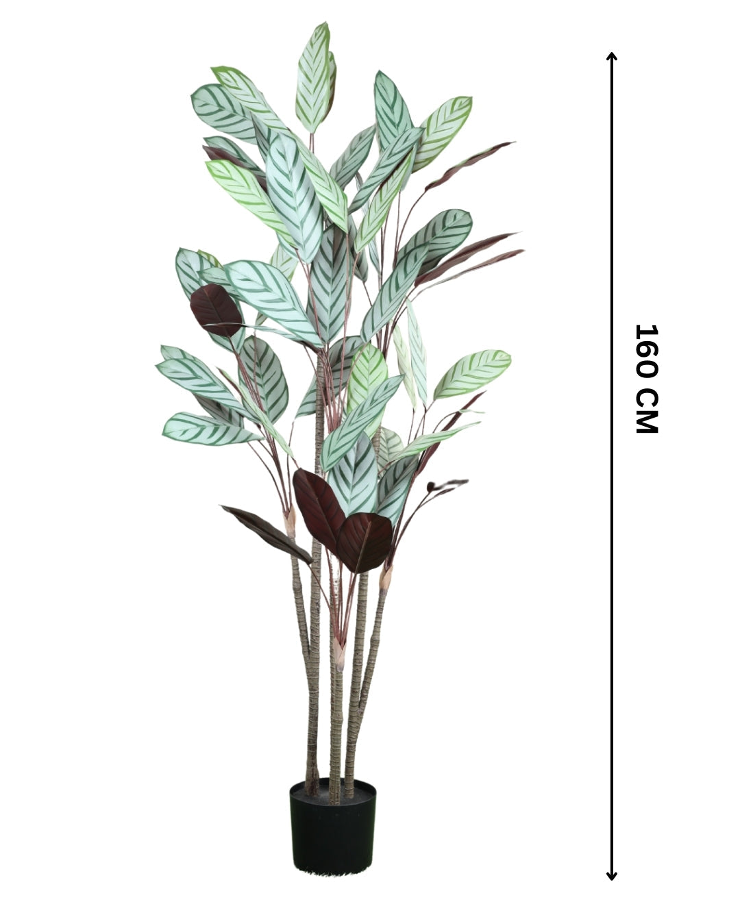 Tall Artificial Calathea Plant With Pot