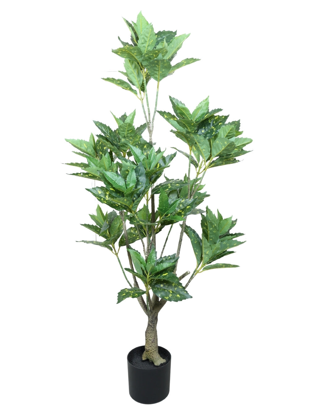 Artificial Aucuba Plant With Pot Lush Green Vibes All Year Round (Medium)