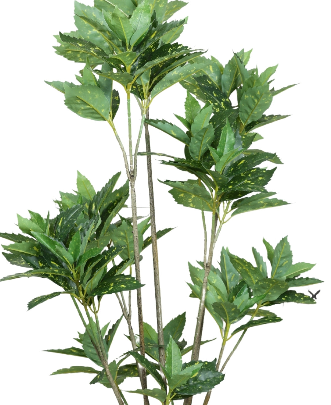 Artificial Aucuba Plant With Pot Lush Green Vibes All Year Round (Tall)