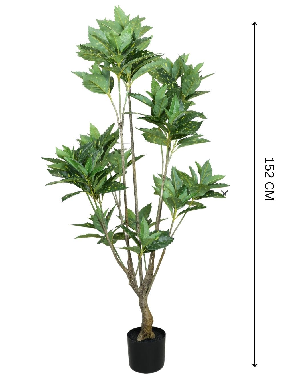Artificial Aucuba Plant With Pot Lush Green Vibes All Year Round (Tall)