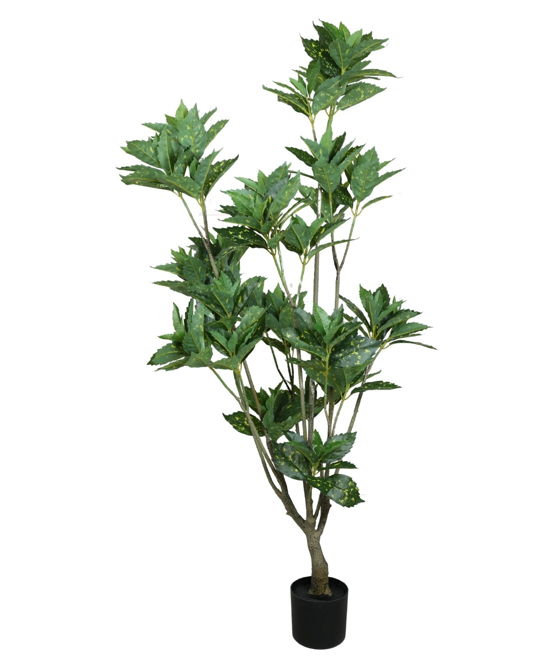 Artificial Aucuba Plant With Pot Lush Green Vibes All Year Round (Grande)