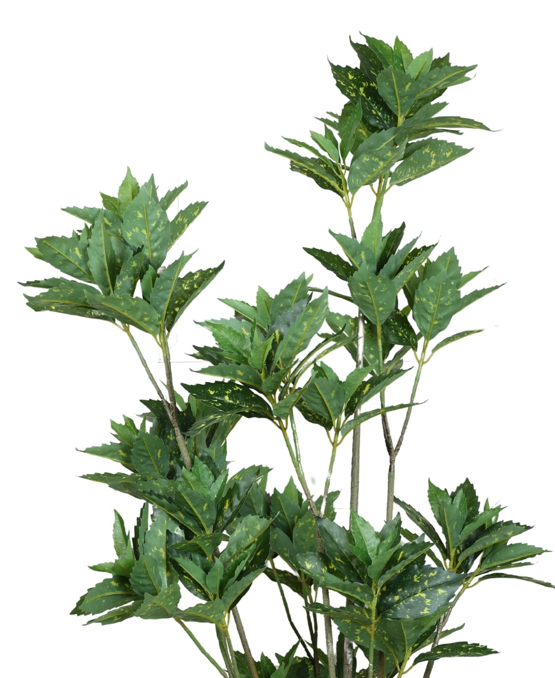 Artificial Aucuba Plant With Pot Lush Green Vibes All Year Round (Grande)