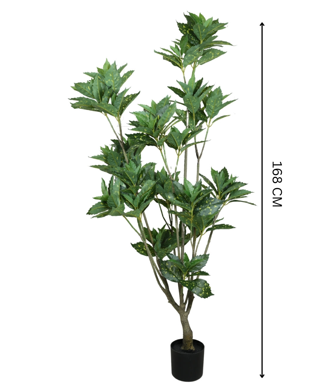 Artificial Aucuba Plant With Pot Lush Green Vibes All Year Round (Grande)