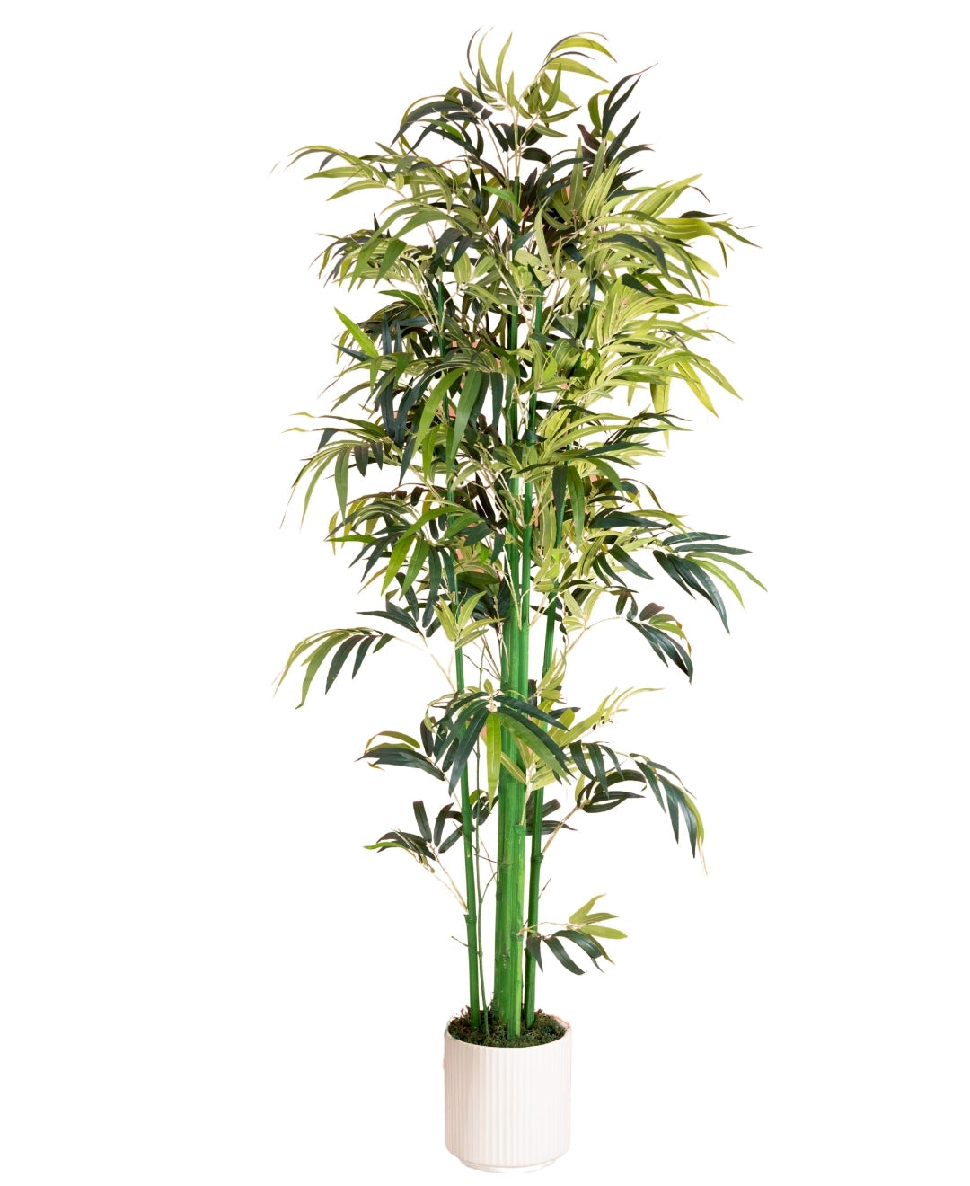 Artificial Real Touch Bamboo Plant With Pot For Home And Office Dacor (Tall)
