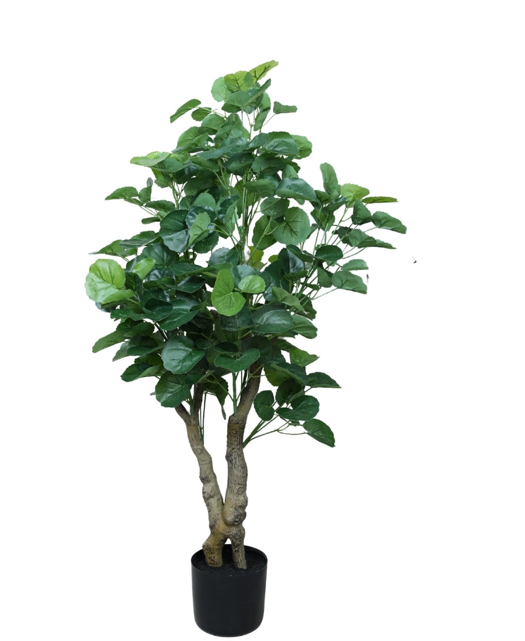Graceful Beauty Artificial Begonia Plant With Pot(Medium)