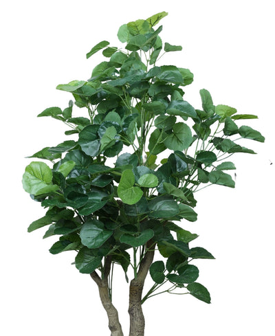 Graceful Beauty Artificial Begonia Plant With Pot(Medium)
