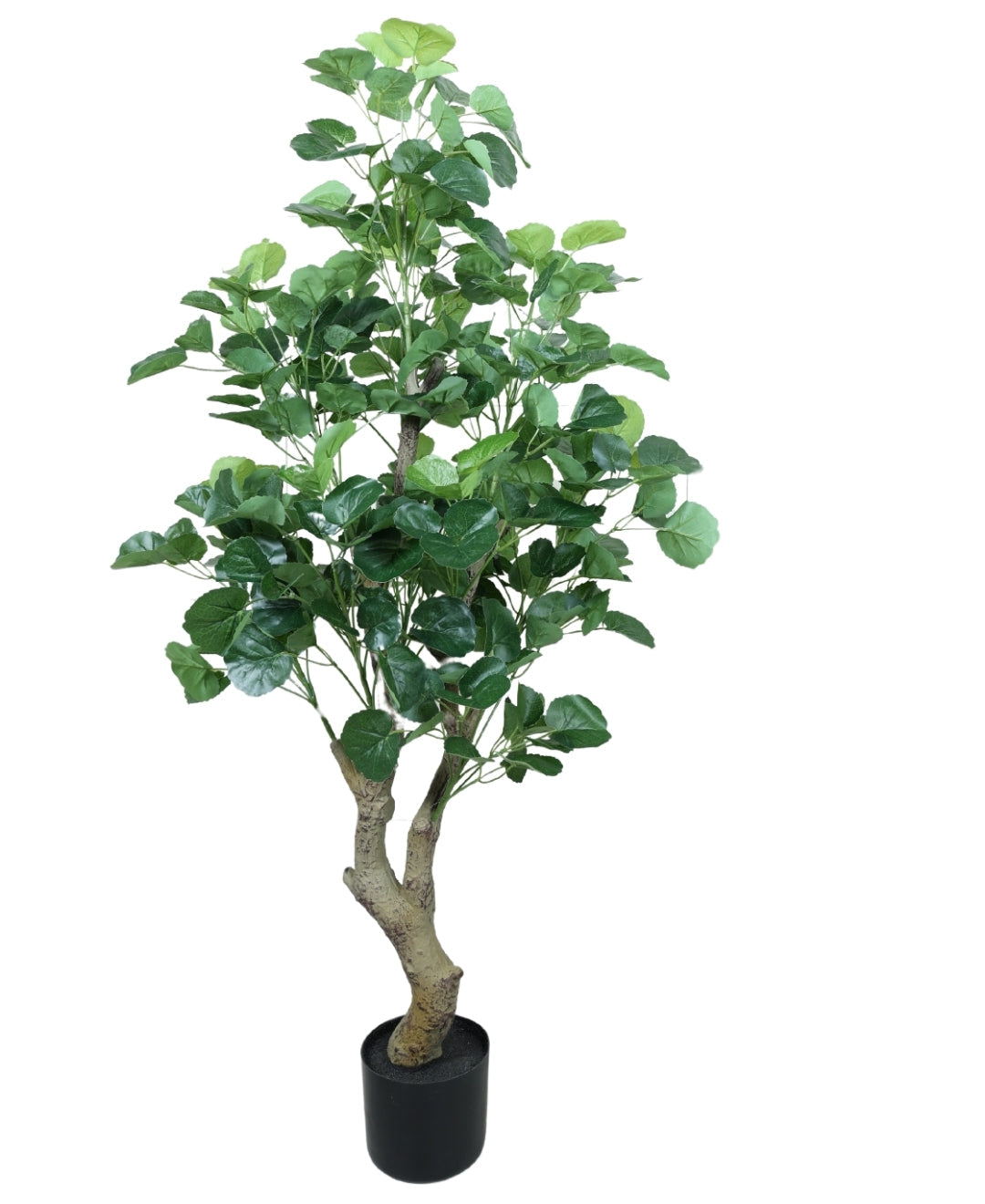 Graceful Beauty Artificial Begonia Plant With Pot(Tall)