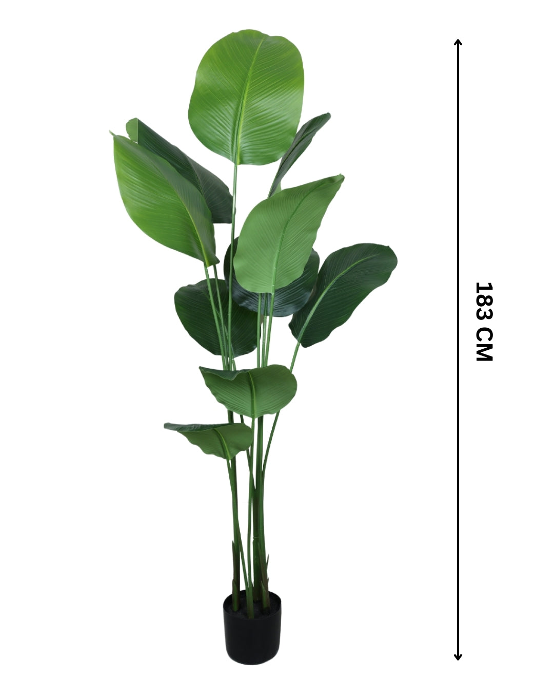 Lifelike & Lush Artificial Calathea Plant With Pot (Medium)