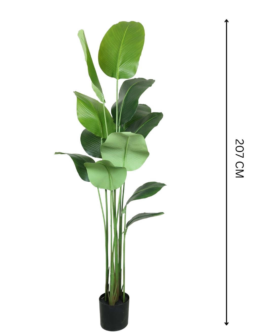 Lifelike & Lush Artificial Calathea Plant With Pot(Tall)