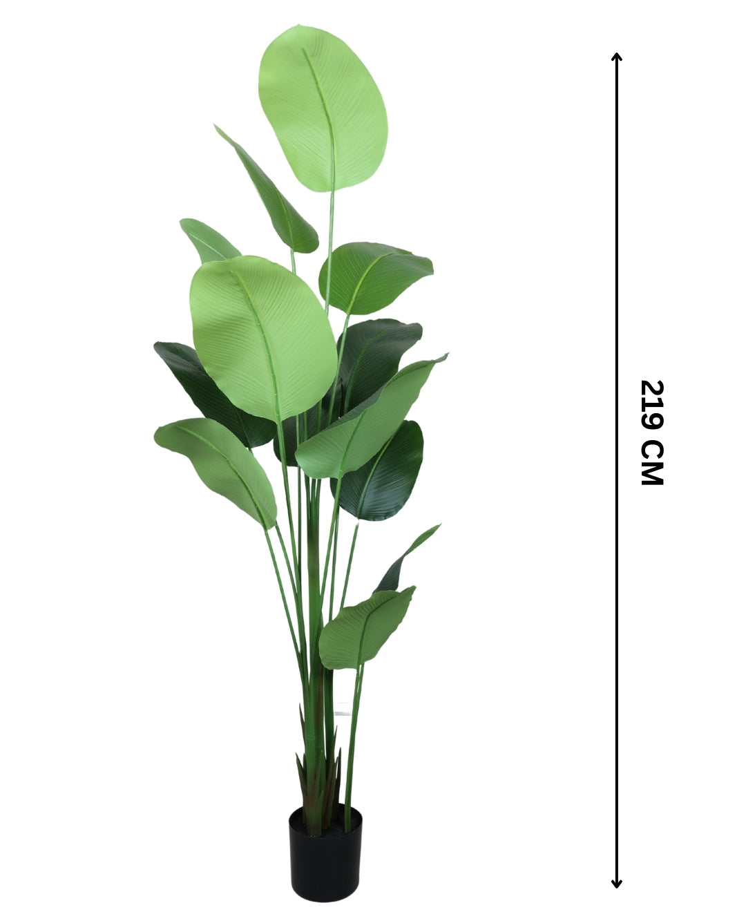 Bold Foliage, Effortless Style Artificial Calathea Plant With Pot (Grande)