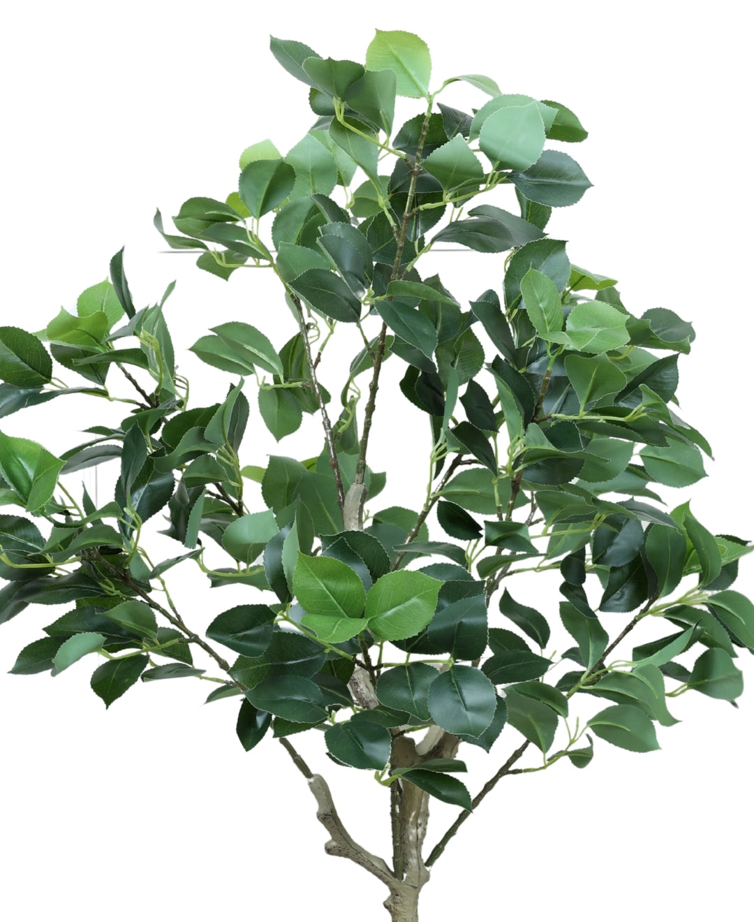 Blush Bloom Faux Camellia Plant With Pot(Small)
