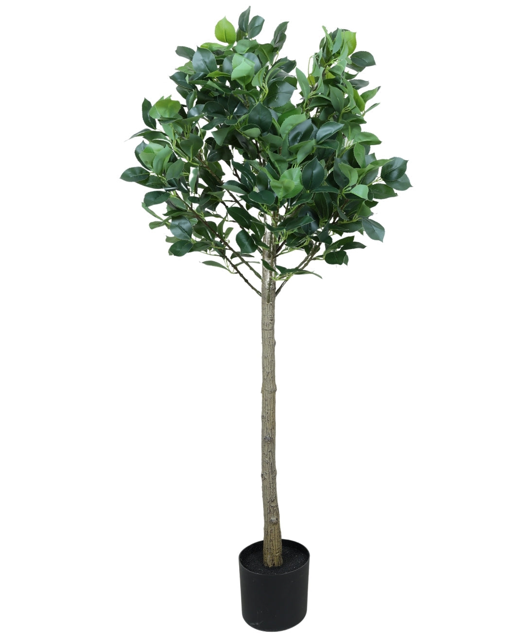 Blush Bloom Faux Camellia Plant With Pot (Tall)