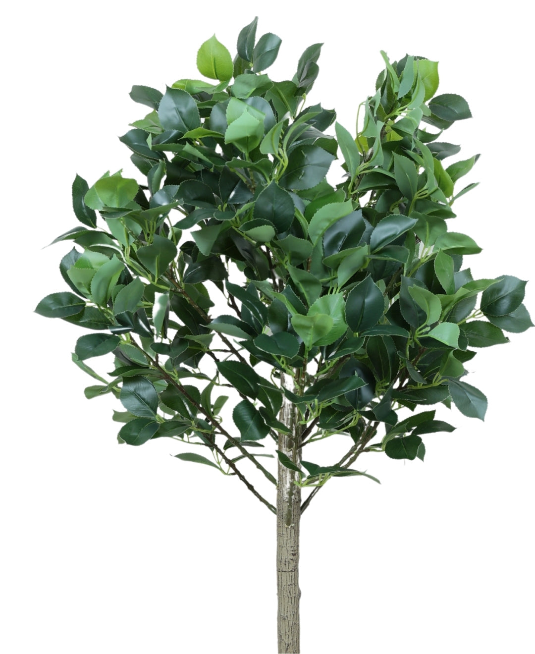 Blush Bloom Faux Camellia Plant With Pot (Tall)