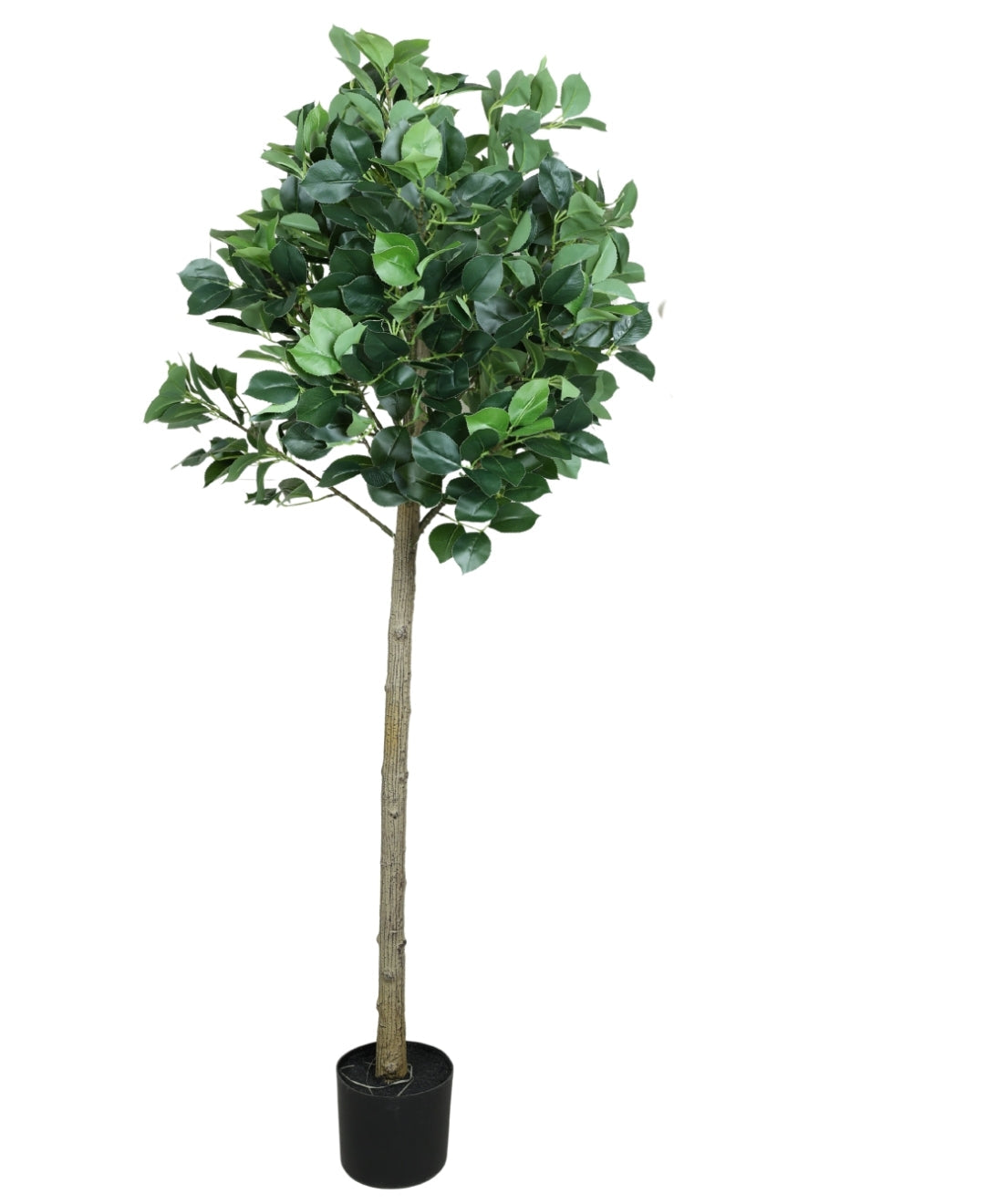 Blush Bloom Faux Camellia Plant With Pot (Grande)