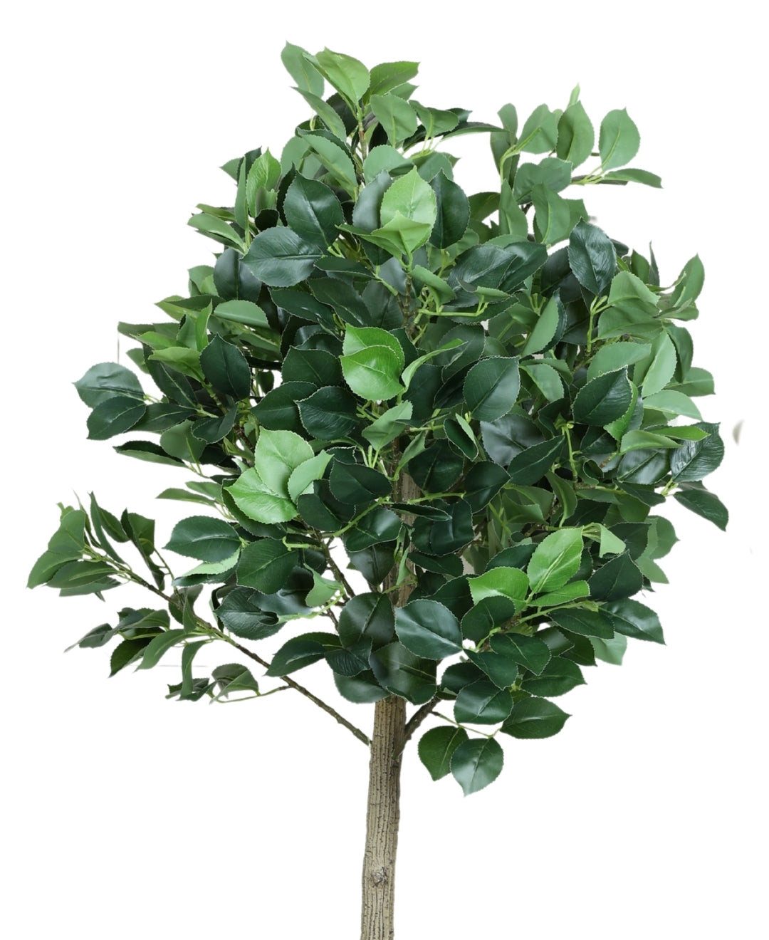Blush Bloom Faux Camellia Plant With Pot (Grande)
