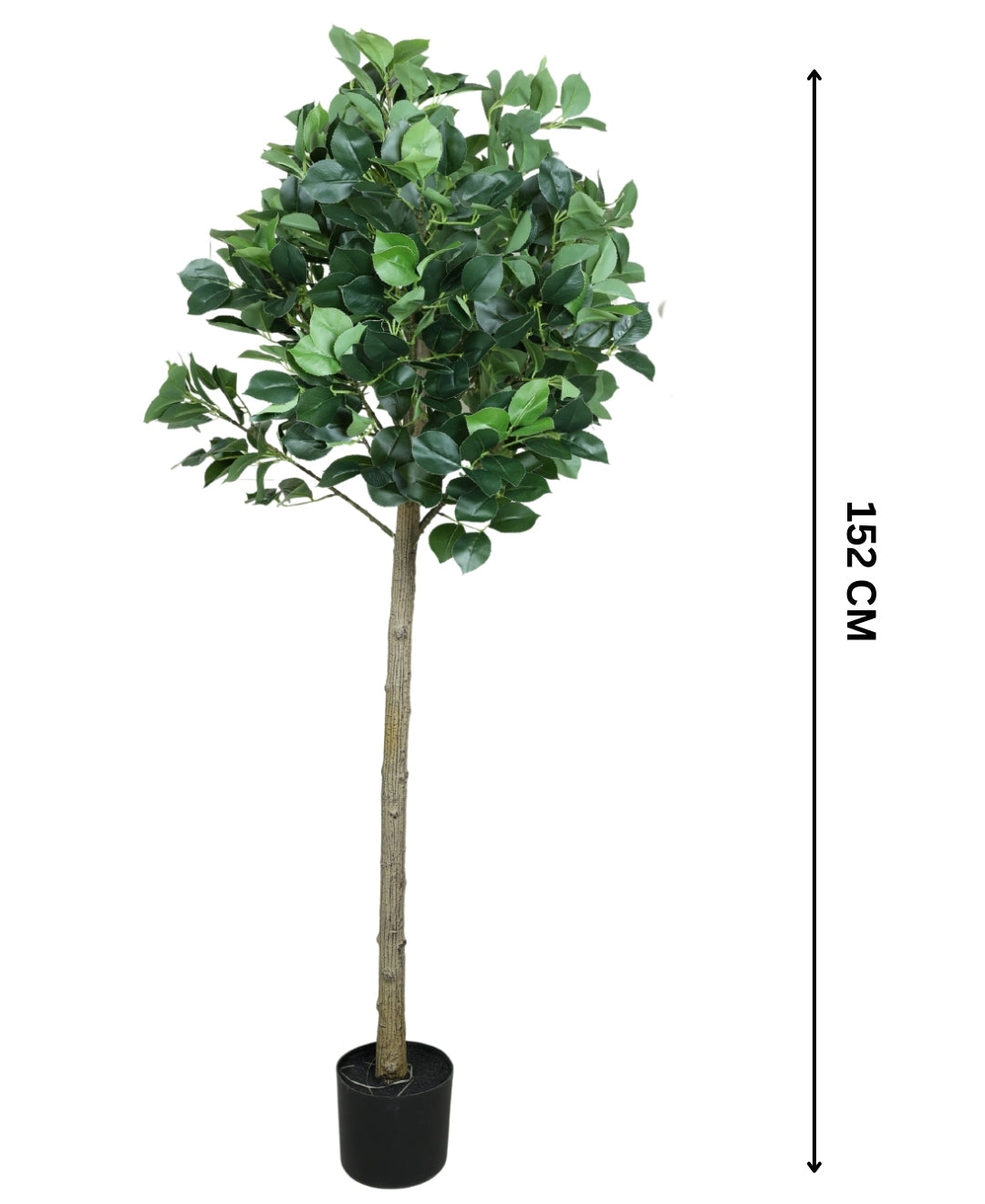 Blush Bloom Faux Camellia Plant With Pot (Grande)