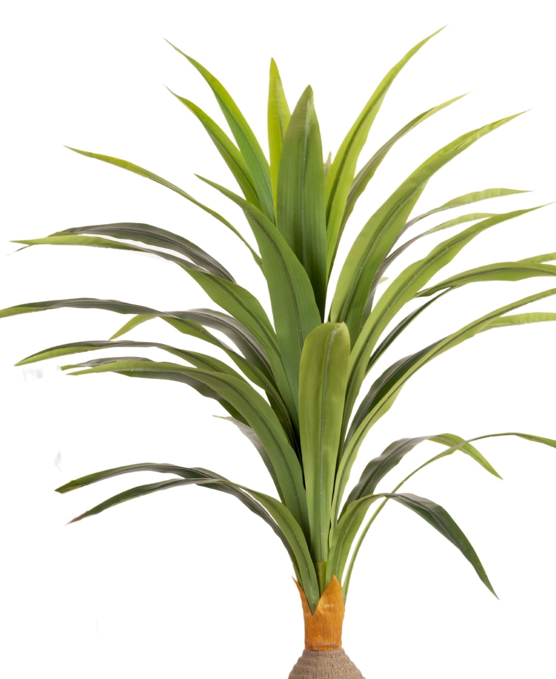 Aura Leaf Decorative Artificial Dracaena With Medium Size Leaves