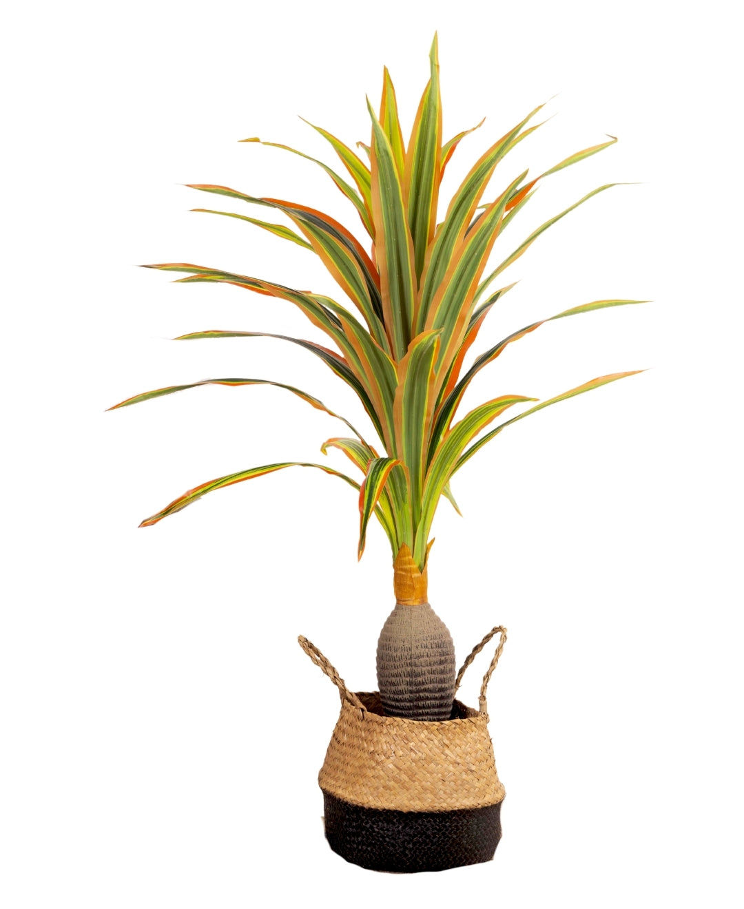 Aura Leaf Decorative Artificial Dracaena With Medium Size Leaves