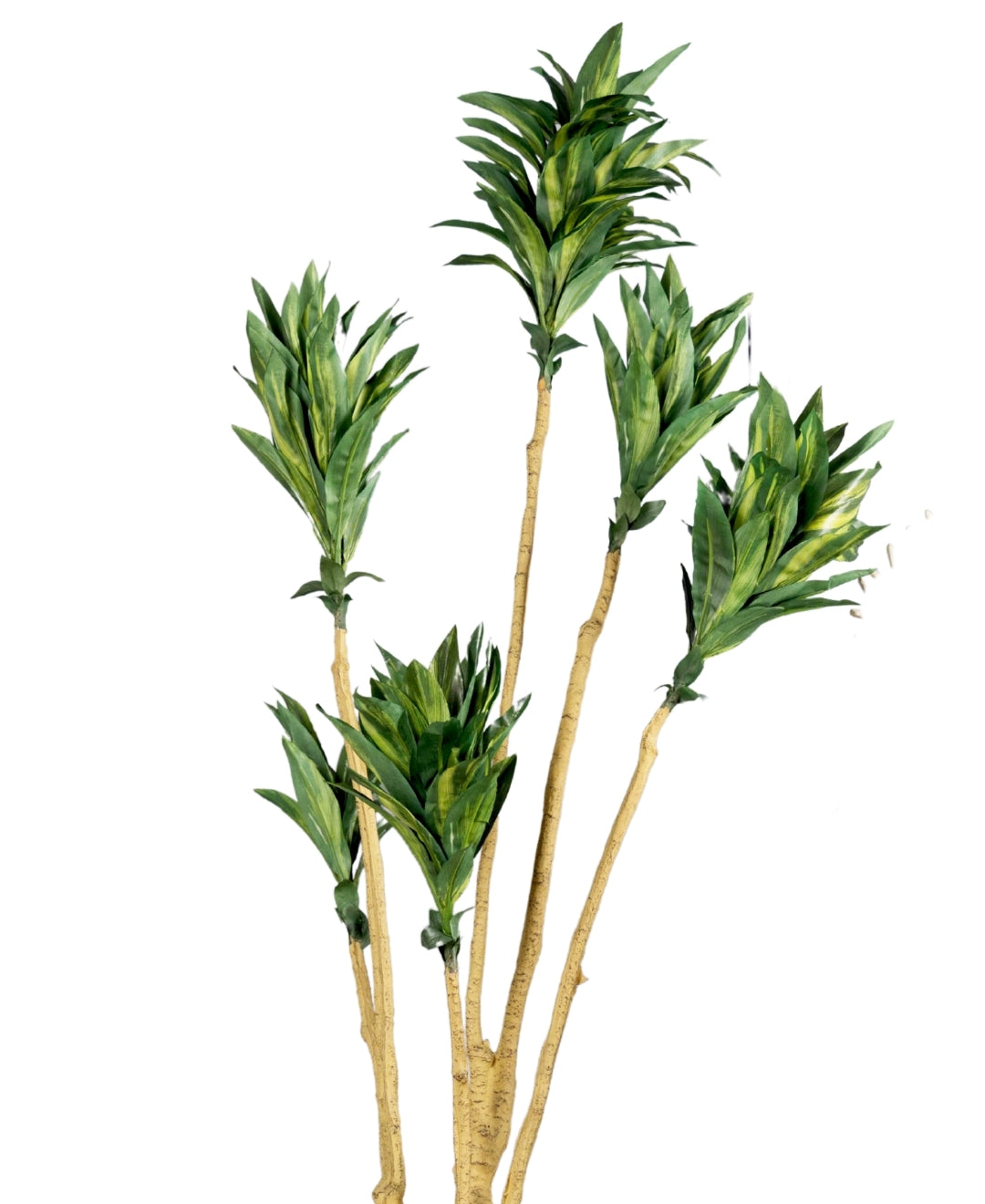 Botanic Rise Faux Dracaena Plant Without Pot (Tall)