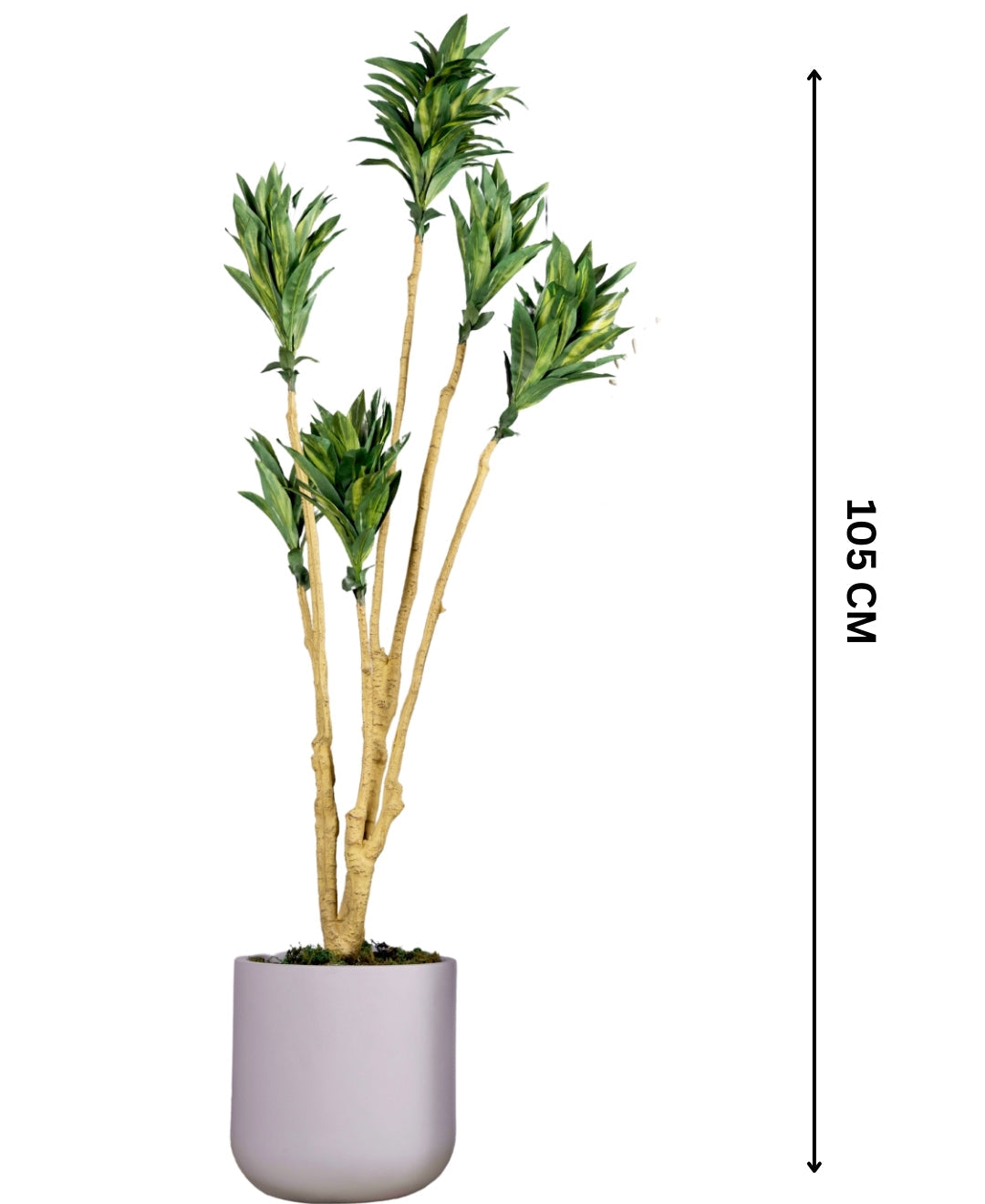 Botanic Rise Faux Dracaena Plant Without Pot (Tall)