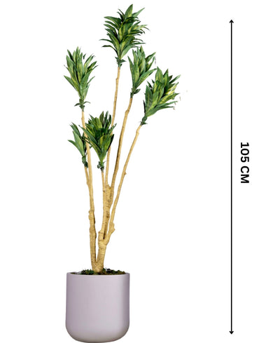 Botanic Rise Faux Dracaena Plant Without Pot (Tall)