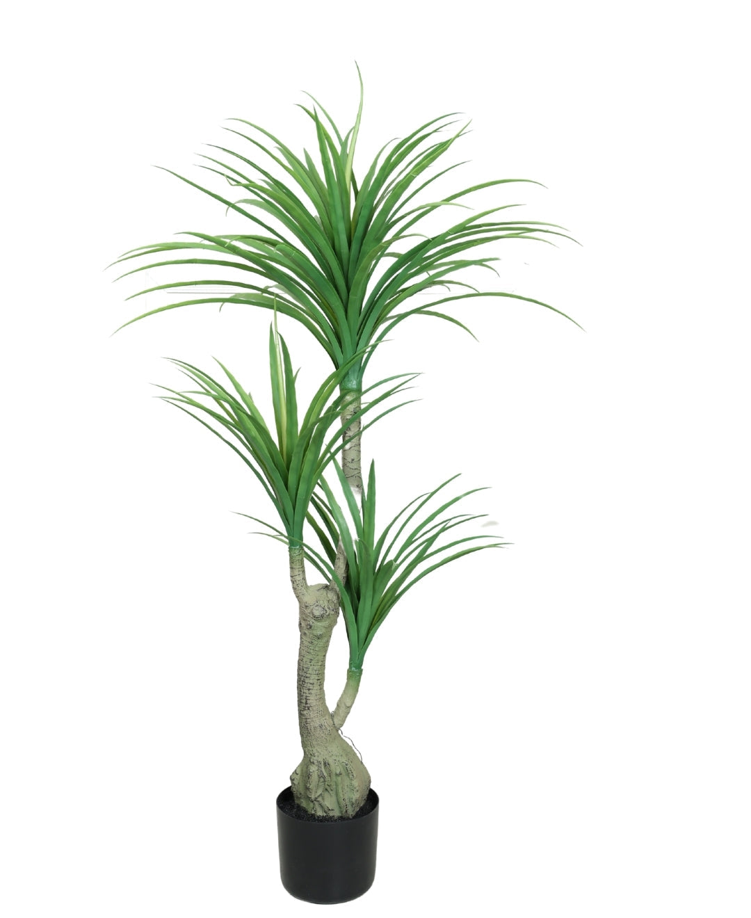 Modern Minimalist Green Artificial Dracaena Plant With Pot (Small)