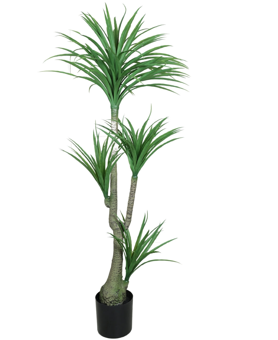 Modern Minimalist Green Artificial Dracaena Plant With Pot (Medium)