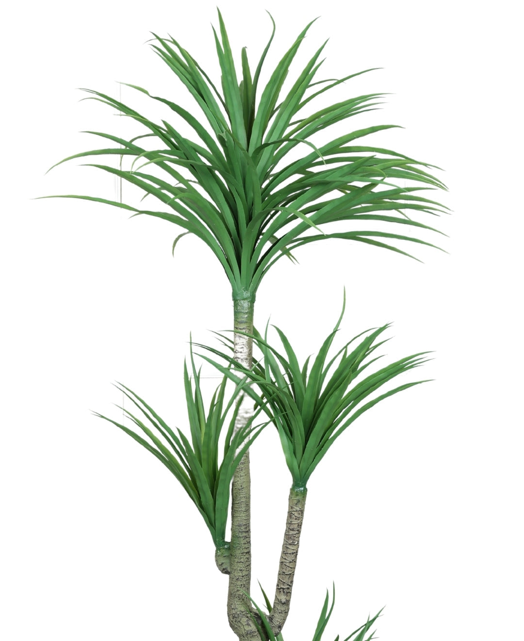 Modern Minimalist Green Artificial Dracaena Plant With Pot (Medium)