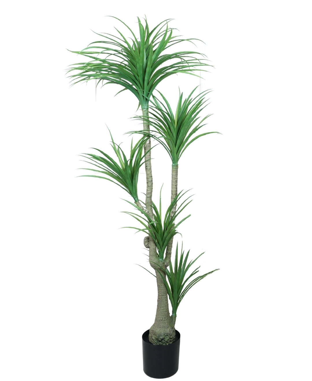Modern Minimalist Green Artificial Dracaena Plant With Pot (Tall)