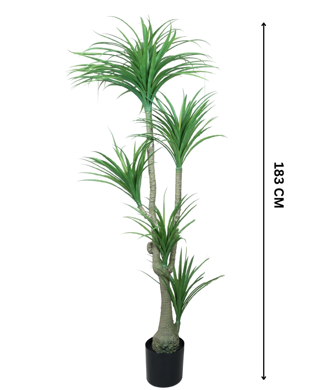Modern Minimalist Green Artificial Dracaena Plant With Pot (Tall)