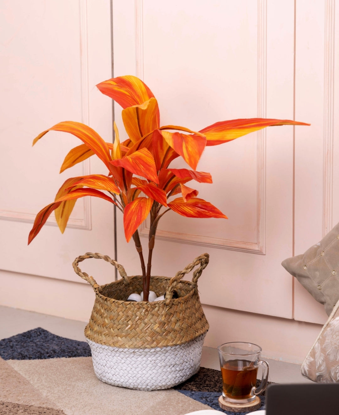 Stylestem Compact Dracaena Plant Without Pot