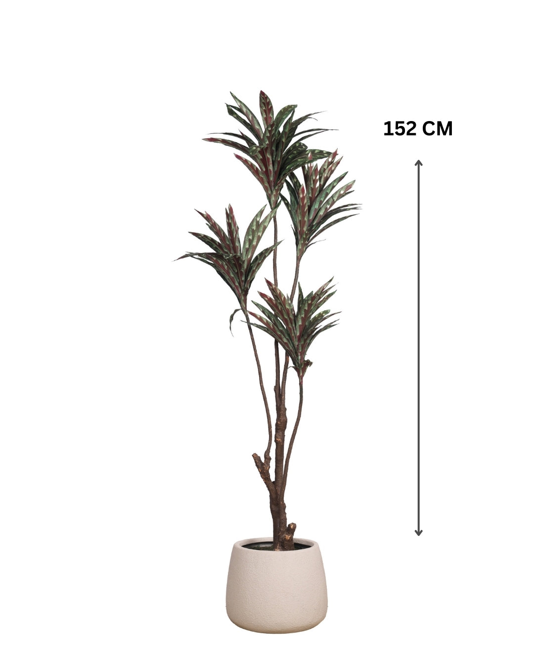 Nature Drop Artificial Dracaena Plant Without Pot (Tall)
