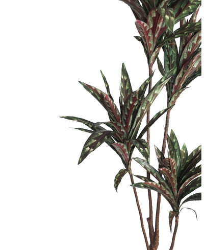 Nature Drop Artificial Dracaena Plant Without Pot (Tall)