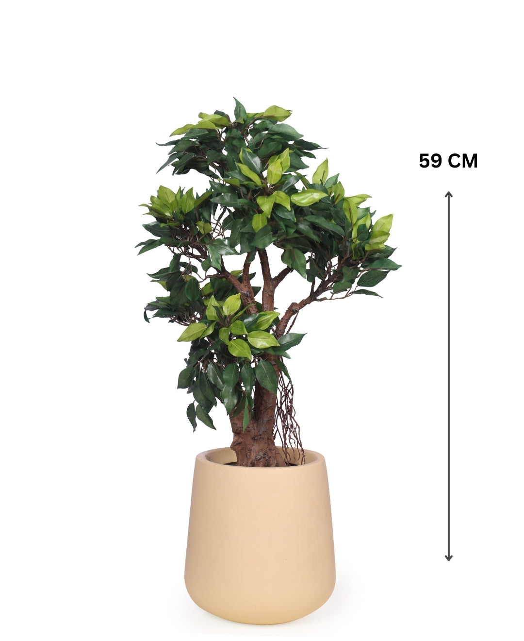 Mini Ficus Luxe Decorative Table Accent Without Pot