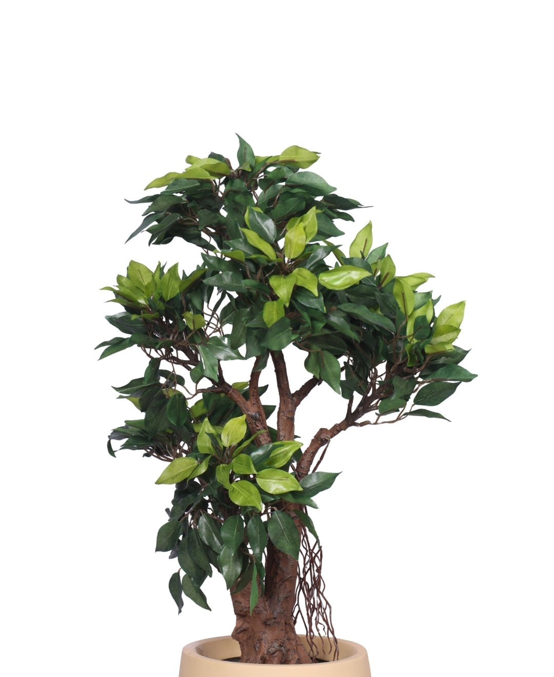 Mini Ficus Luxe Decorative Table Accent Without Pot