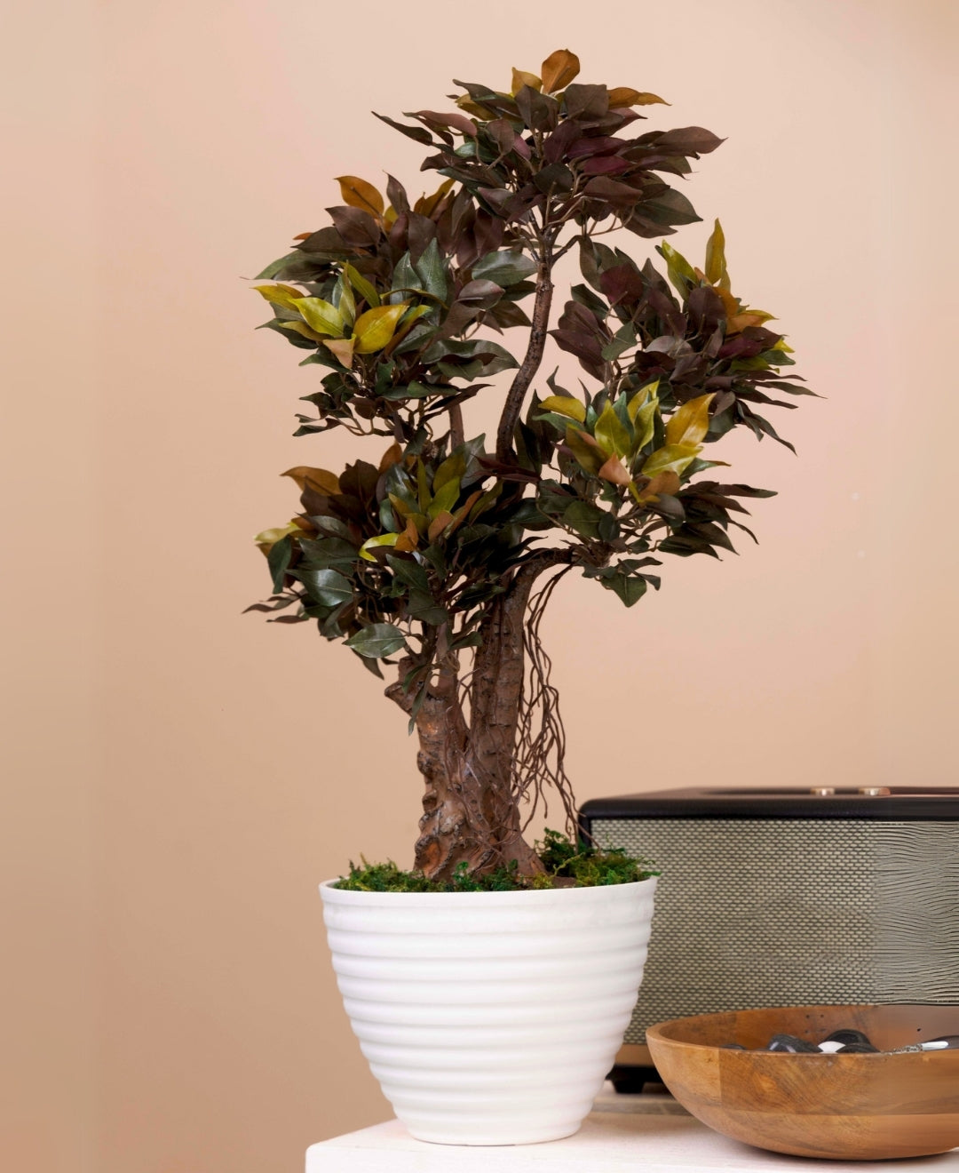 Mini Ficus Luxe Decorative Table Accent Without Pot