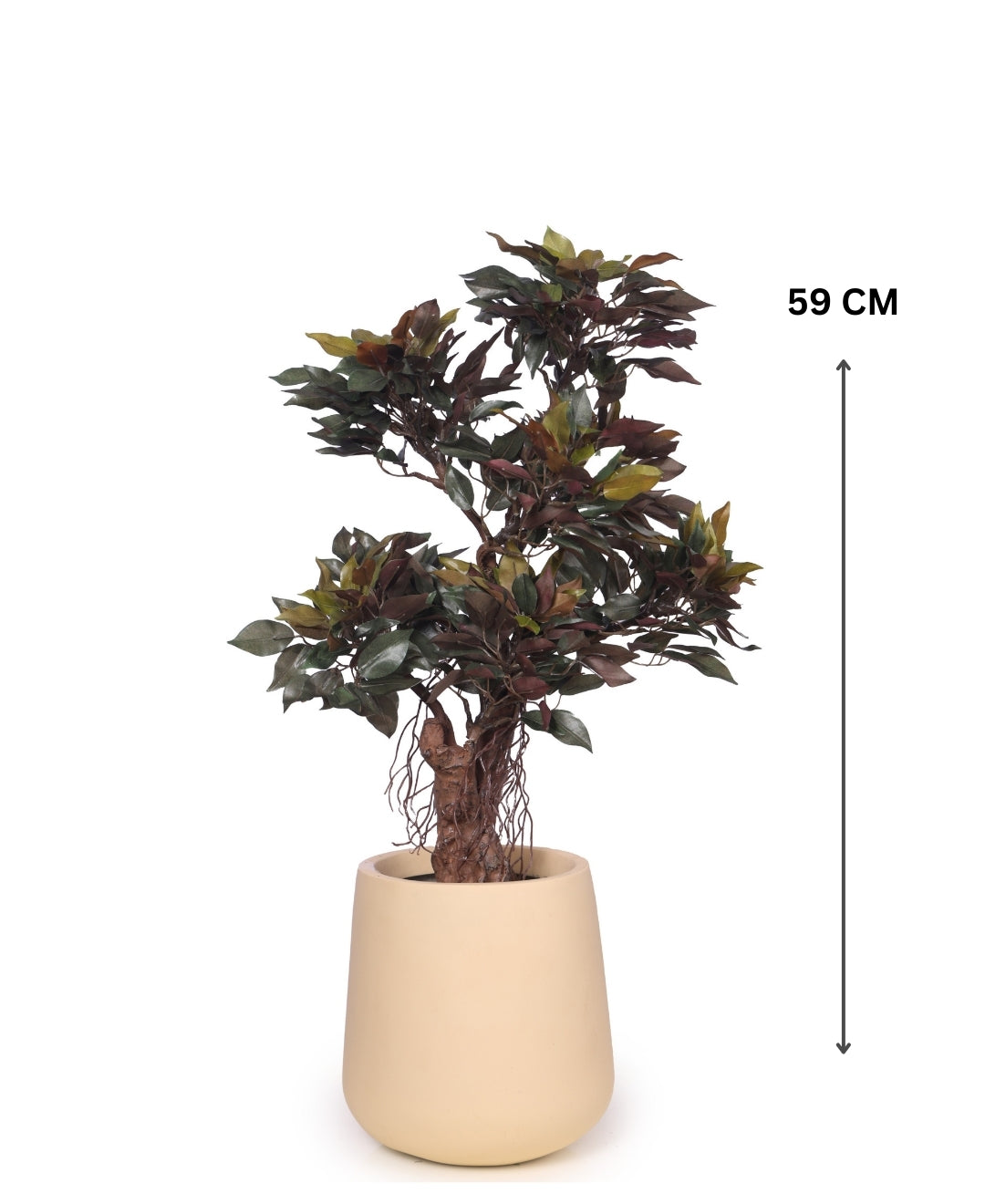 Mini Ficus Luxe Decorative Table Accent Without Pot