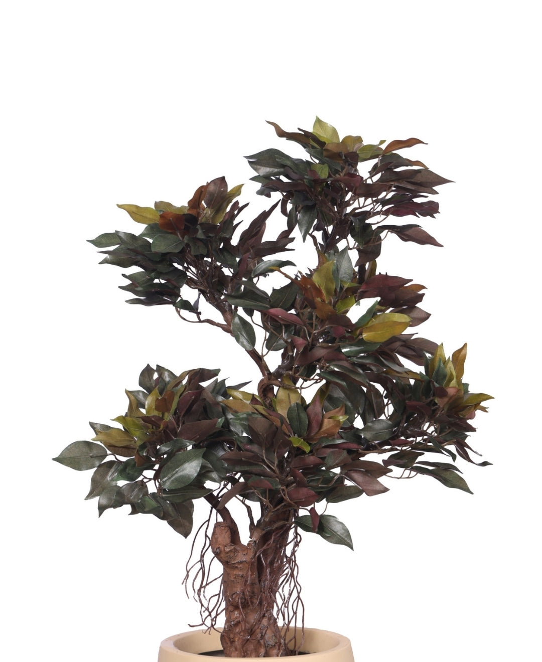 Mini Ficus Luxe Decorative Table Accent Without Pot