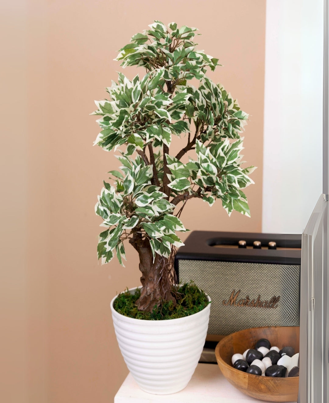 Mini Ficus Luxe Decorative Table Accent Without Pot
