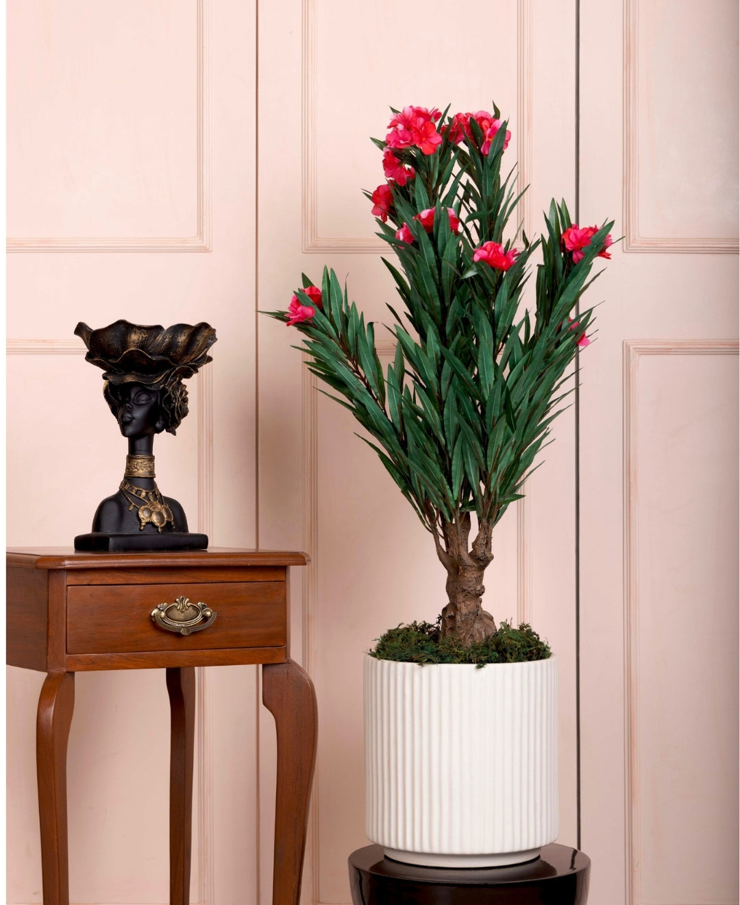 Oleana Charm Mini Bloom Tabletop Plant Without Pot